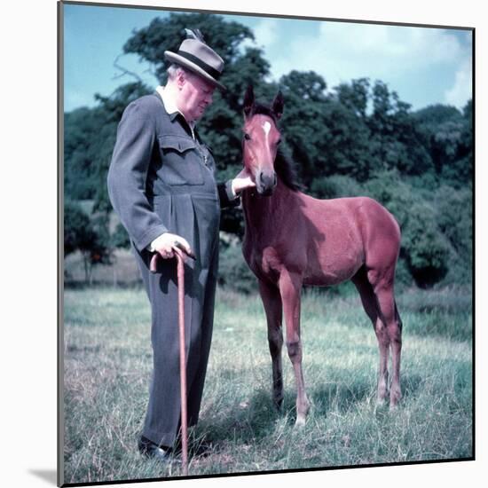Winston Churchill and Horse-null-Mounted Photographic Print