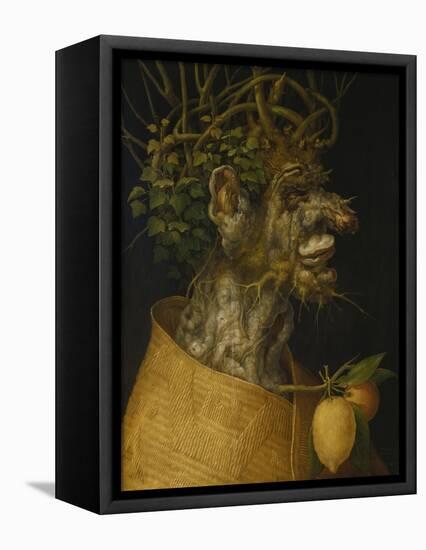 Winter, 1563-Giuseppe Arcimboldo-Framed Premier Image Canvas