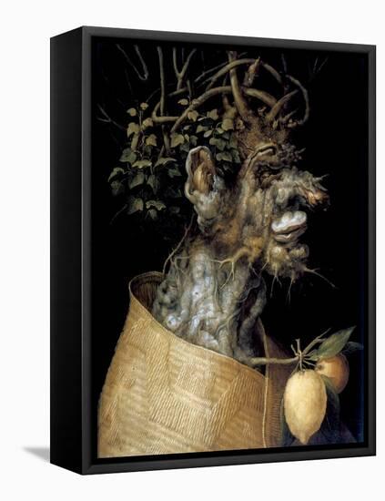 Winter, 1563-Giuseppe Arcimboldi-Framed Premier Image Canvas