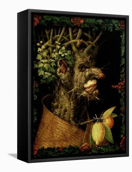 Winter, 1573-Giuseppe Arcimboldo-Framed Premier Image Canvas