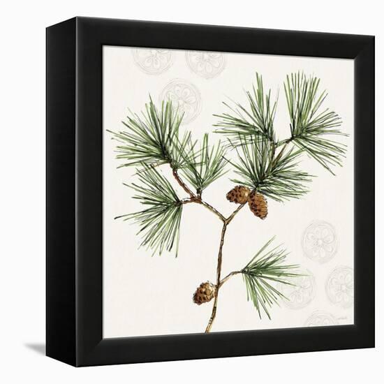 Winter Adornment II-Anne Tavoletti-Framed Stretched Canvas