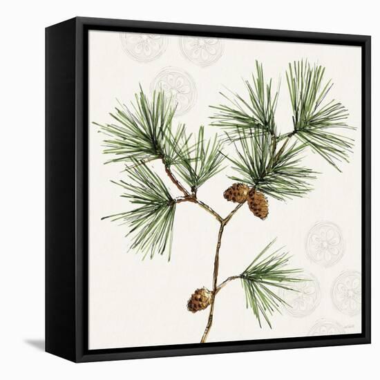 Winter Adornment II-Anne Tavoletti-Framed Stretched Canvas