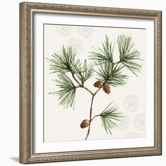 Winter Adornment II-Anne Tavoletti-Framed Art Print