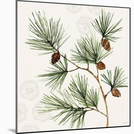 Winter Adornment III-Anne Tavoletti-Mounted Art Print