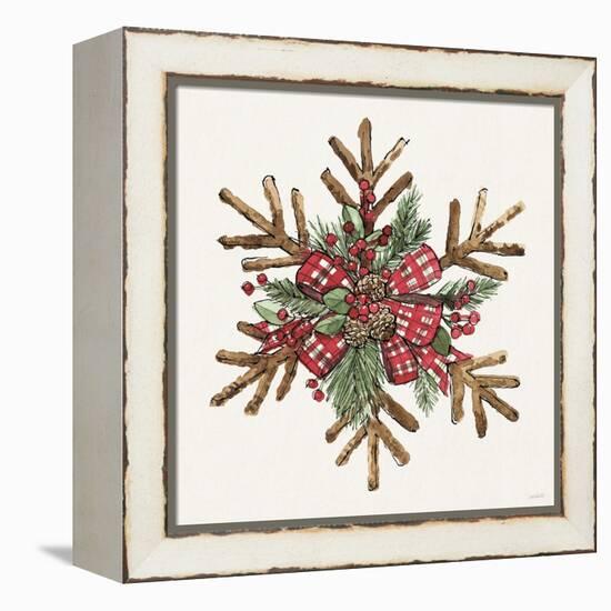 Winter Adornment VI-Anne Tavoletti-Framed Stretched Canvas