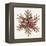 Winter Adornment VI-Anne Tavoletti-Framed Stretched Canvas