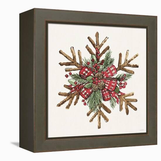 Winter Adornment VI-Anne Tavoletti-Framed Stretched Canvas