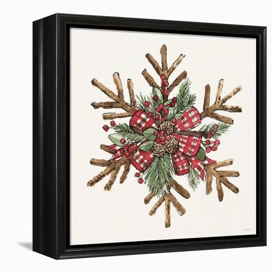 Winter Adornment VI-Anne Tavoletti-Framed Stretched Canvas