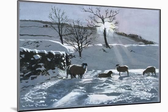 Winter Afternoon at Dentdale, 1991-John Cooke-Mounted Giclee Print