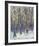 Winter Angels in the Aspen-Amy Dixon-Framed Giclee Print