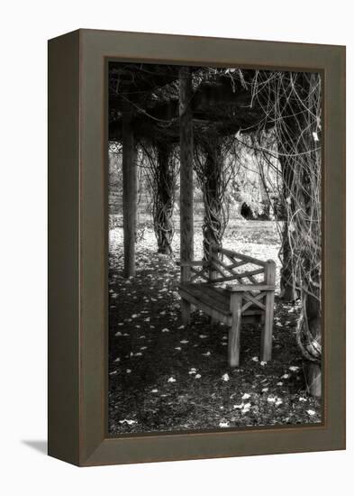 Winter Arbor II-Alan Hausenflock-Framed Premier Image Canvas