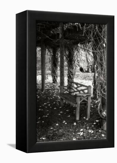 Winter Arbor II-Alan Hausenflock-Framed Premier Image Canvas