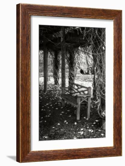 Winter Arbor II-Alan Hausenflock-Framed Premium Photographic Print