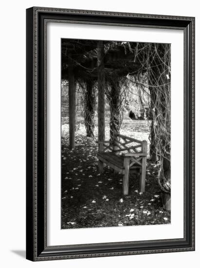 Winter Arbor II-Alan Hausenflock-Framed Premium Photographic Print