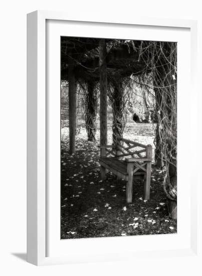 Winter Arbor II-Alan Hausenflock-Framed Photographic Print