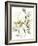 Winter Arrangement I-Jennifer Goldberger-Framed Art Print