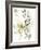 Winter Arrangement II-Jennifer Goldberger-Framed Art Print