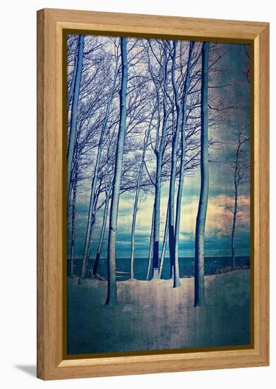 Winter At Lake Michigan-Michelle Calkins-Framed Stretched Canvas