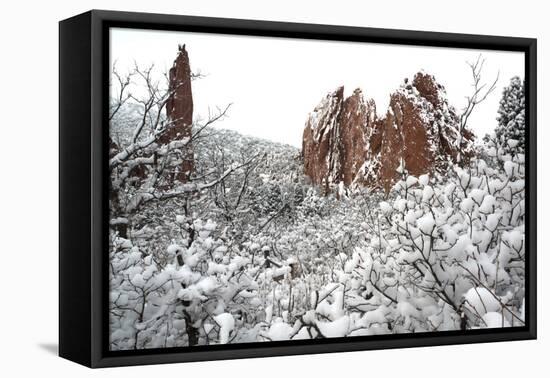 Winter at the Garden of the Gods-bcoulter-Framed Premier Image Canvas