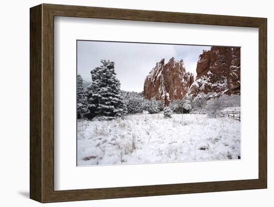 Winter at the Garden of the Gods-bcoulter-Framed Photographic Print