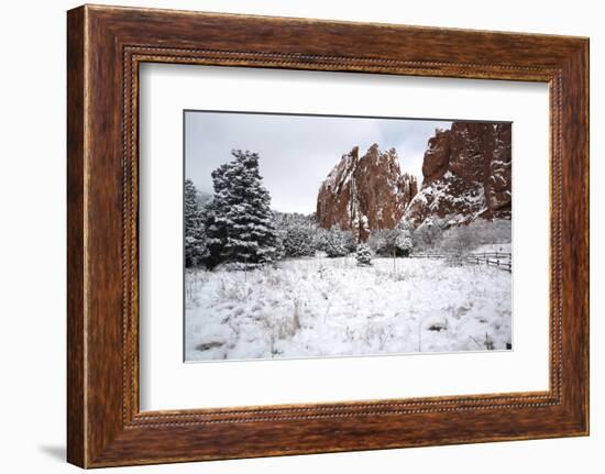 Winter at the Garden of the Gods-bcoulter-Framed Photographic Print