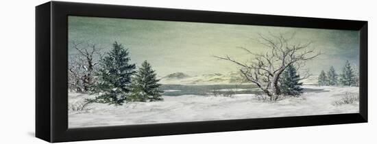 Winter at the Lake-Atelier Sommerland-Framed Stretched Canvas