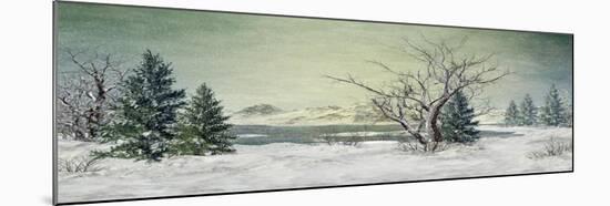 Winter at the Lake-Atelier Sommerland-Mounted Art Print