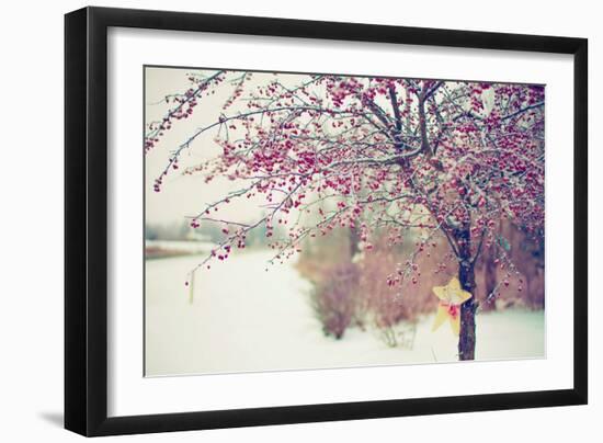 Winter Berries I-Kelly Poynter-Framed Photographic Print