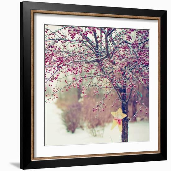 Winter Berries II-Kelly Poynter-Framed Photographic Print