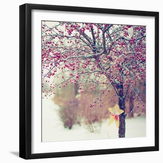Winter Berries II-Kelly Poynter-Framed Photographic Print