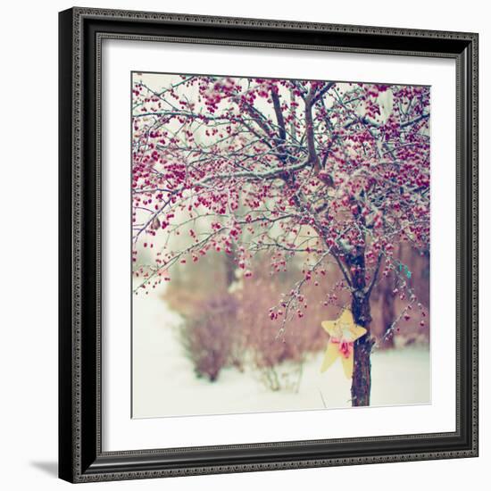 Winter Berries II-Kelly Poynter-Framed Photographic Print