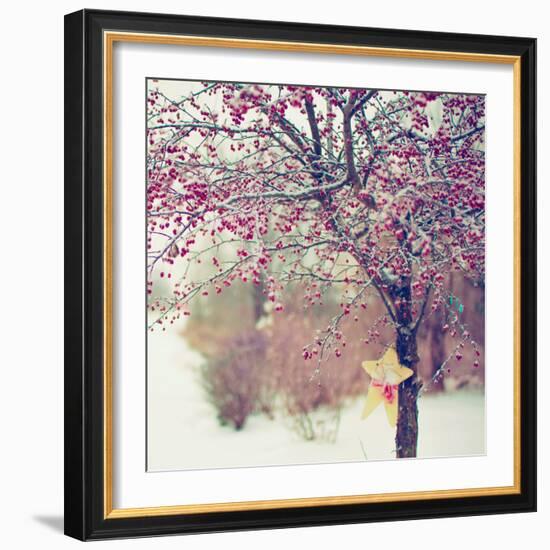 Winter Berries II-Kelly Poynter-Framed Photographic Print