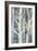 Winter Birches II-Albena Hristova-Framed Art Print