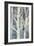 Winter Birches II-Albena Hristova-Framed Art Print