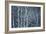 Winter Birches-Doug Chinnery-Framed Giclee Print