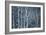 Winter Birches-Doug Chinnery-Framed Giclee Print