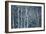 Winter Birches-Doug Chinnery-Framed Giclee Print