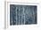 Winter Birches-Doug Chinnery-Framed Giclee Print