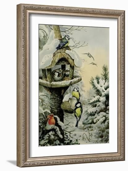 Winter Bird Table with Blue Tits, Great Tits, House Sparrows and a Robin-Carl Donner-Framed Giclee Print