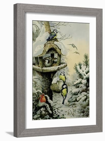 Winter Bird Table with Blue Tits, Great Tits, House Sparrows and a Robin-Carl Donner-Framed Giclee Print