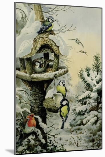 Winter Bird Table with Blue Tits, Great Tits, House Sparrows and a Robin-Carl Donner-Mounted Giclee Print