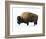 Winter Bison-Jason Savage-Framed Art Print