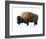 Winter Bison-Jason Savage-Framed Art Print