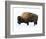 Winter Bison-Jason Savage-Framed Art Print