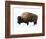 Winter Bison-Jason Savage-Framed Art Print