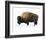 Winter Bison-Jason Savage-Framed Art Print