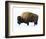 Winter Bison-Jason Savage-Framed Art Print