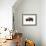 Winter Bison-Jason Savage-Framed Giclee Print displayed on a wall