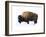 Winter Bison-Jason Savage-Framed Giclee Print