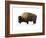 Winter Bison-Jason Savage-Framed Giclee Print